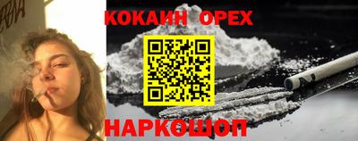 шишки Шахты