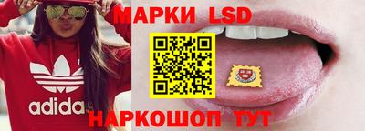 шишки Шахты