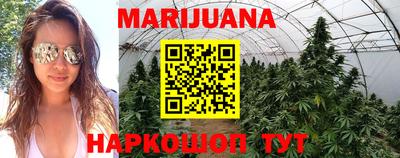 apvp Шелехов