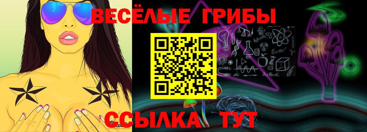 Галлюциногенные грибы Psilocybine cubensis Нижневартовск